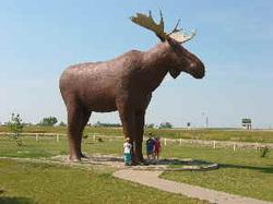 /images/travel-2003-moose.jpg